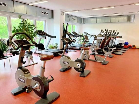 Fitnessraum mit mehreren Fahrradergometern und Laufb&auml;ndern auf einem roten Boden, umgeben von Pflanzen und Fenstern.