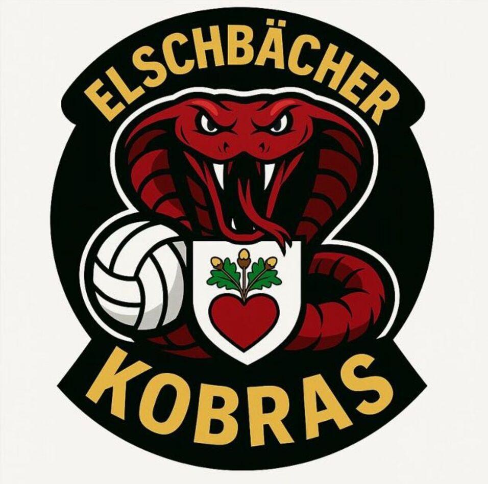 Logo der Elschb&auml;cher Kobras mit einer roten Schlange und einem Volleyball auf schwarzem Hintergrund.